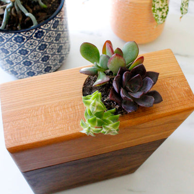 The Living Urn Planter Keepsake - Perry