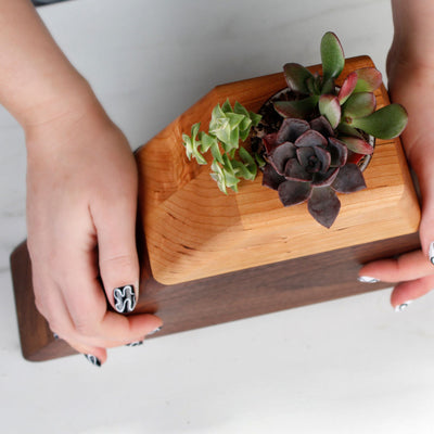 The Living Urn Planter - Hyatt Ewald