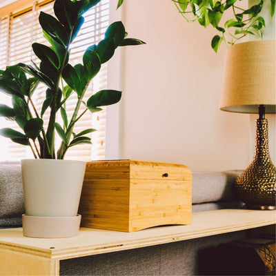 Durango - Hyatt Ewald