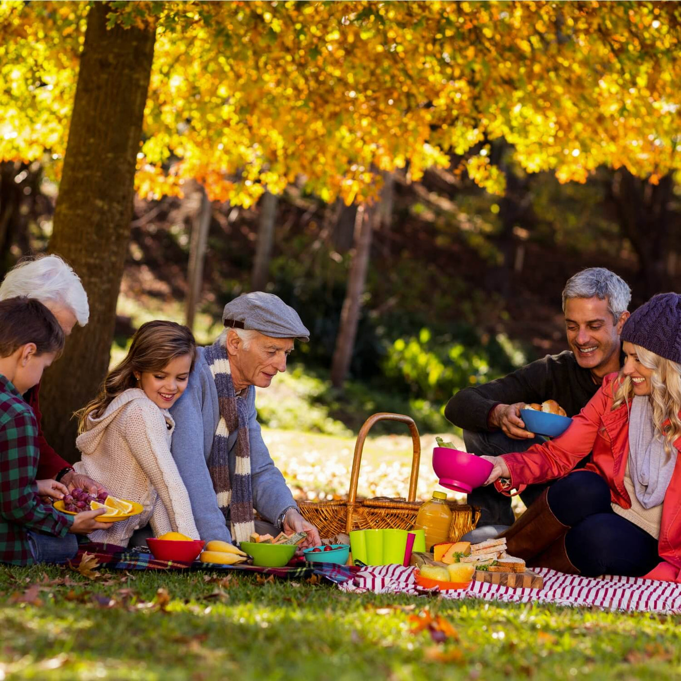 Family Program - Messenger
