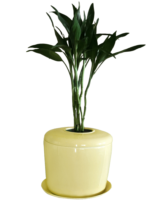 The Living Urn Indoors / Patio - Simple Pets