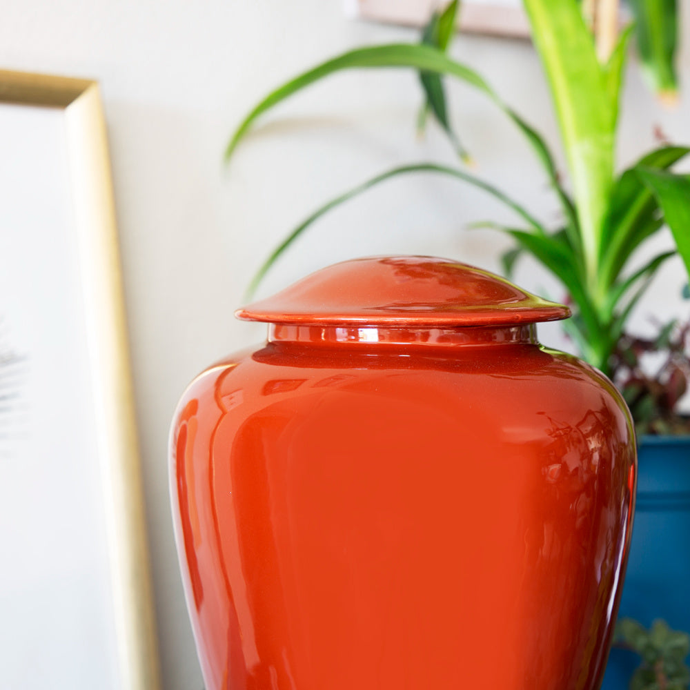 Elmwood - A Better Place