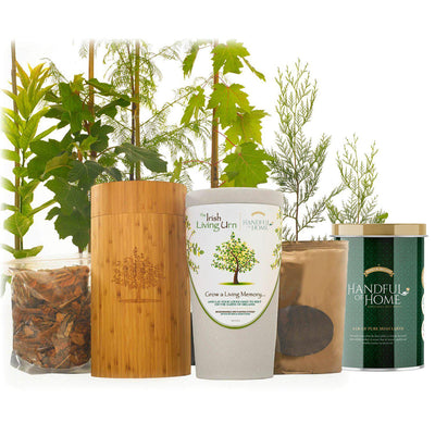 The Irish Living Urn - Natural Grace