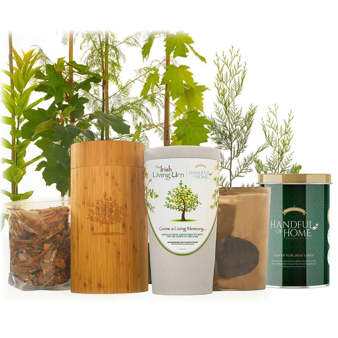 The Irish Living Urn - Front Range