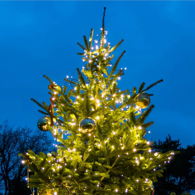 Christmas Tree - Messenger