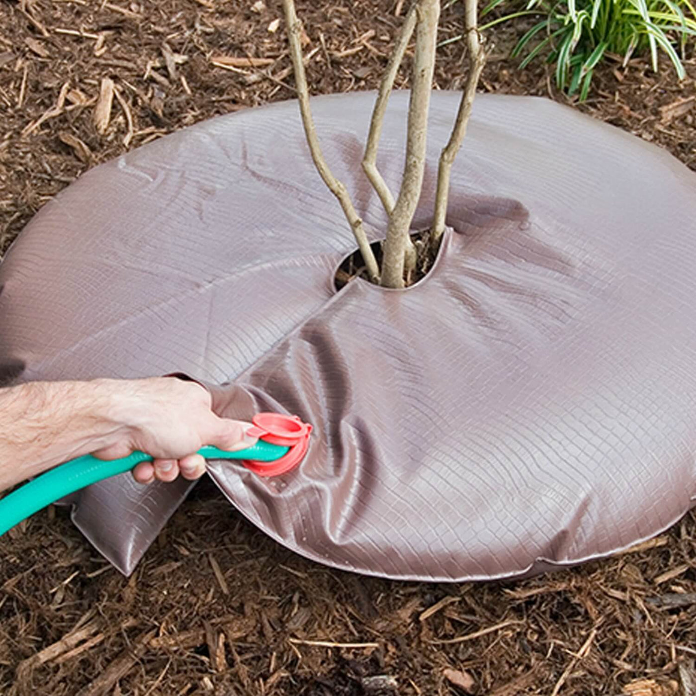 Slow Release Watering Bag - Be a Tree Cremation