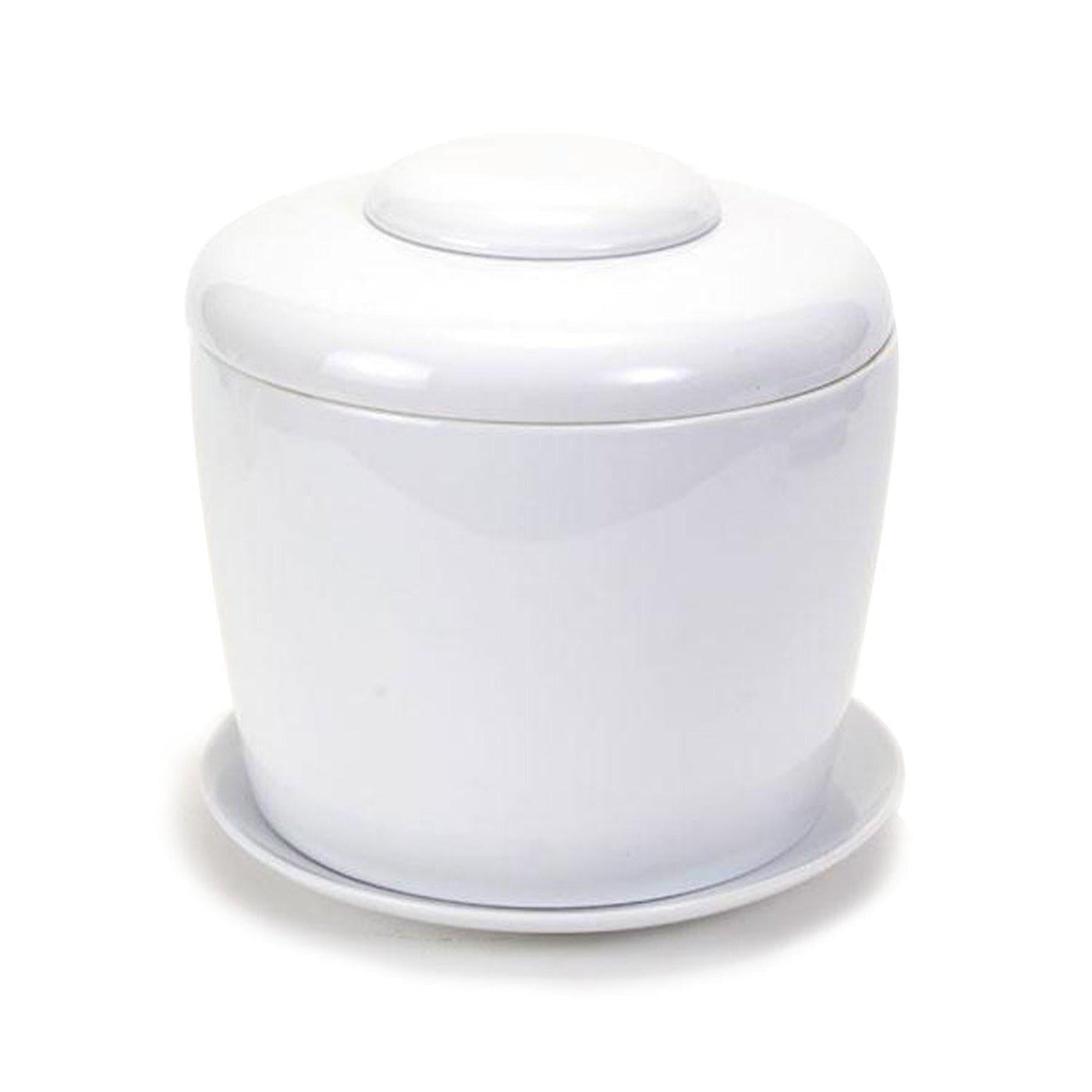 The Living Urn Indoors / Patio - Simple Pets